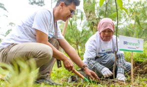 Lingkungan Lebih Hijau & Malah Jadi Cuan, Nasabah Ungkap Manfaat ‘BRI Menanam’