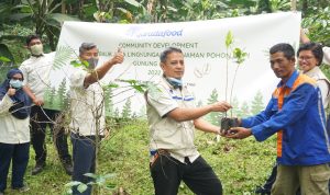 Penanaman Ribuan Bibit Kopi, Hijaukan Gunung Geulis