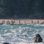 Fakta Pulau Sentinel Yang Wajib Kalian Ketahui, Tidak Bisa di Masuki Wisatawan Asing?