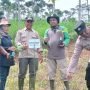 Pisang Cavendish, Tingkatkan Ketahanan Pangan