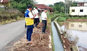 Irigasi Jebol, Khawatirkan Ganggu Produksi Padi