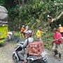 Waspada! Kabel Listrik Tertimpa Pohon Tumbang