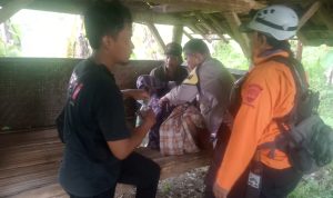 Hilang Tiga Hari, Seorang Nenek Ditemukan Di Hutan