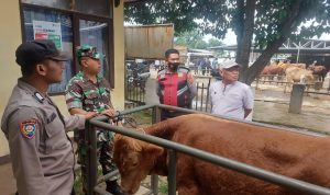 Taati SOP, Pasar Hewan Tanjungsari Kembali Buka