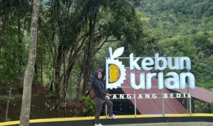 Kebun Durian Sangiang Bedil, Tempat Santai Nikmati Kawasan Hutan