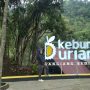 Kebun Durian Sangiang Bedil, Tempat Santai Nikmati Kawasan Hutan