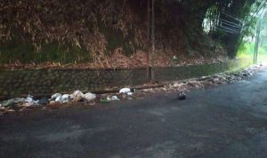 Penumpukan Sampah, Resahkan Warga yang Melintas