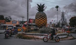 Resep Makanan Khas Subang Dari Olahan Buah Nanas, Bisa Buat Sendiri di Rumah!