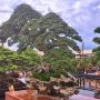 Bonsai dengan kualitas tinggi dan umur puluhan tahun