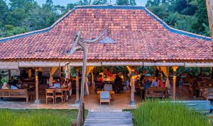 Ngopi Di Sawah Gadog, Spot Nongkrong Hits Di Bogor! 