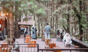 Coffee Shop Di Tengah Hutan Warung Kopi Gungung