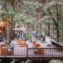 Coffee Shop Di Tengah Hutan Warung Kopi Gungung