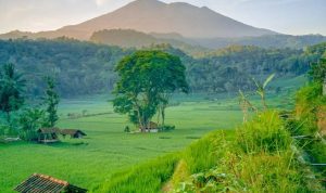 Sekilas sejarah dan mitos gunung ciremai