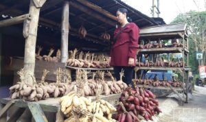 Ubi Cilembu, Makanan Khas Sumedang Selain Tahu