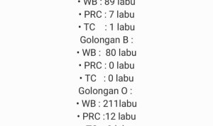 Stok Darah PMI Terbilang Aman