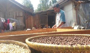Ciptakan Produk Unggulan Dari Hasil Bumi