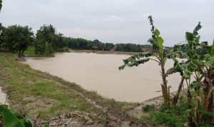 Sembilan Desa Terdampak Banjir, Identifikasi Penyebab Banjir Dilakukan