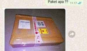 Viral Aplikasi Cek Resi JNT Ekspres, Rugi Ratusan Juta Rupiah!