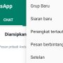 Tutorial Yang Sangat Berguna di Aplikasi WhatsApp, Anti Penipu!