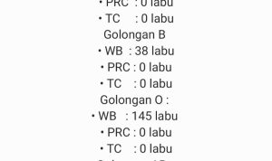 Golongan Darah A dan AB Mulai Menipis