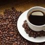 Takeran Yang Benar Membuat Kopi Robusta