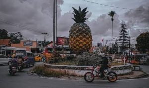 Kumpulan Resep Makanan Khas Subang, Simpel Mudah dan Higienis