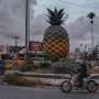 Kumpulan Resep Makanan Khas Subang, Simpel Mudah dan Higienis