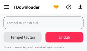 Download Tiktok Tanpa Watermark, Rekomendasi Aplikasi dan Website!