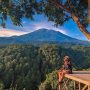 Wisata Gunung Ciwaru Majalengka, Panorama Alam Hutan Pinus