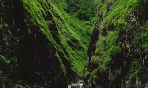 Tempat Wisata Di Garut Dengan Pesona Tebing Yang Menakjubkan, Leuwi Tonjong