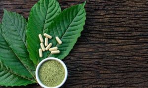 Daun Kratom