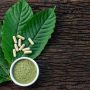 Daun Kratom