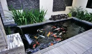 5 Ide Kolam Ikan Mini di Teras Rumah Paling Cantik dan Aesthetic