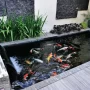 5 Ide Kolam Ikan Mini di Teras Rumah Paling Cantik dan Aesthetic