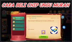 9 Cara Beli Chip Ungu Higgs Domino Terbaru 2023 yang Mudah dan Resmi!