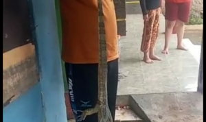 Geger, Biawak Liar Masuk Rumah Warga di Cimanggung Sumedang