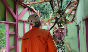 Pohon Tumbang Timpa Rumah Warga di Desa Kebonjati Sumedang