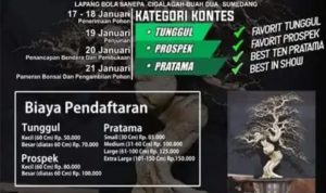 Bernilai Seni Tinggi Kontes Bonsai Lokal Terbuka Tanggal 17-21 Januari 2023 di Sumedang