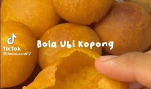 bola ubi