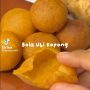 bola ubi