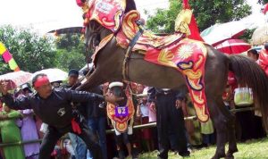 Sejarah Singkat Kesenian Kuda Renggong Sumedang