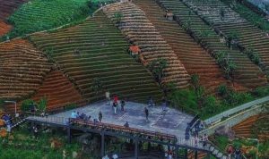 Panorama Alam Di Bukit Lawang Saketeng Majalengka. Adem Banget! 