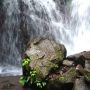 Keindahan Curug Di Bawah Kaki Gunung Tampomas Sumedang. Enak Buat Ngadem! 