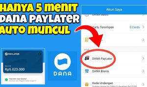 Dana Paylater Tidak Muncul, Ini Penyebab dan Cara Mengatasinya