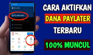 Cara Aktifkan Dana Paylater, Bisa Pinjam Sampai 10 Juta Dengan Tenor 12 Bulan!