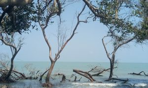 Daftar Tempat Populer Kota Subang, Jawa Barat. Dari Pantai Sampai Pegunungan