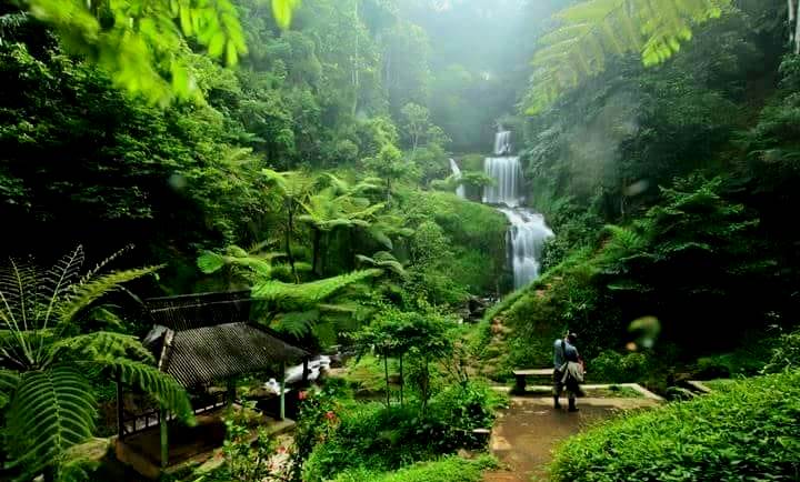 Wisata Alam Sumedang Yang Menyejukkan, Permata Tersembunyi Di Sumedang!