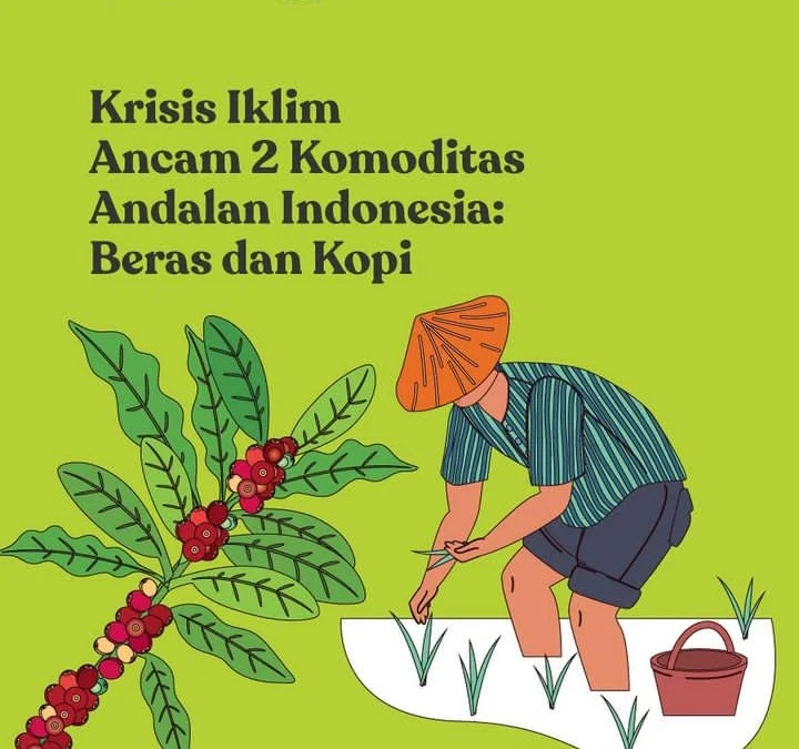 Akibat Krisis Iklim, Tahun 2050 Diprediksi Tidak Bisa Minum Kopi Lokal