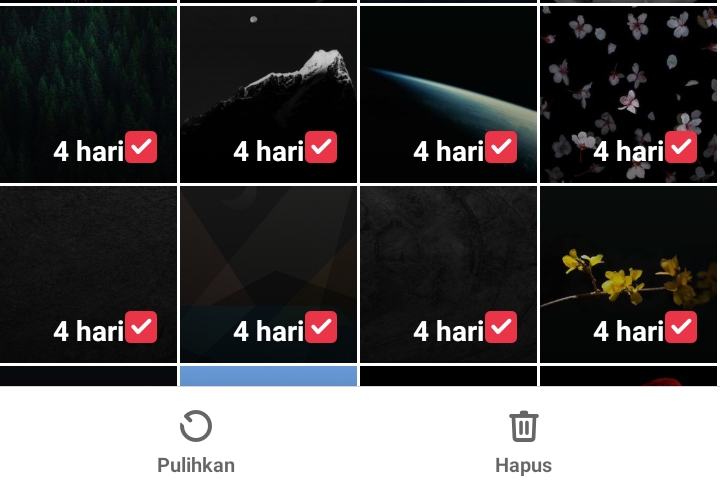 Cara Mengembalikan Foto Yang Terhapus