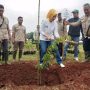 Penanaman Seribu Pohon di Kabupaten Sumedang